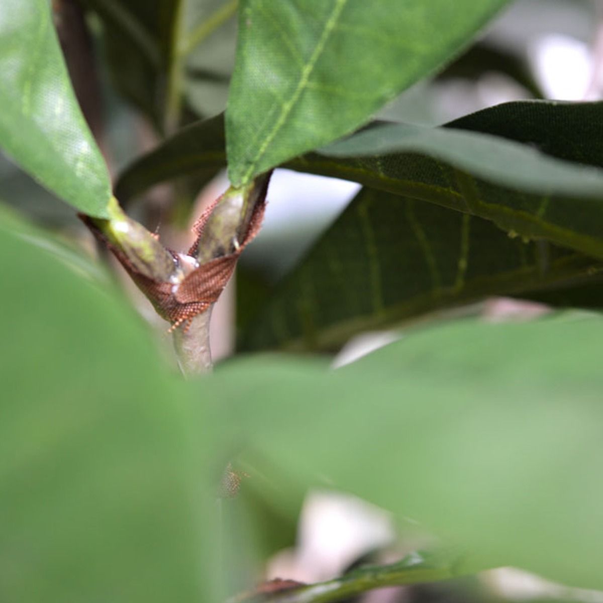 Ficus Cyathistipula deluxe kunstplant 120cm