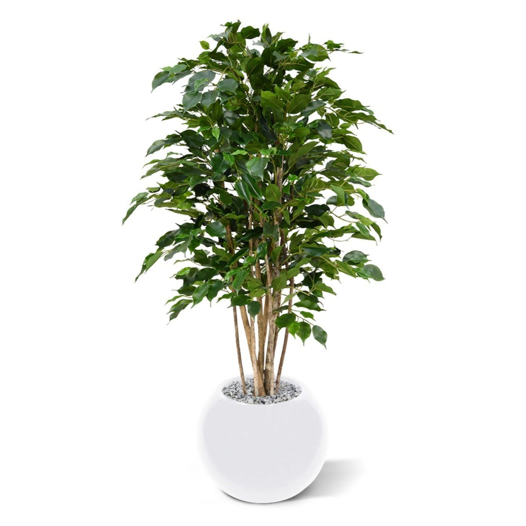 Ficus Exotica deluxe kunstplant 125cm - groen