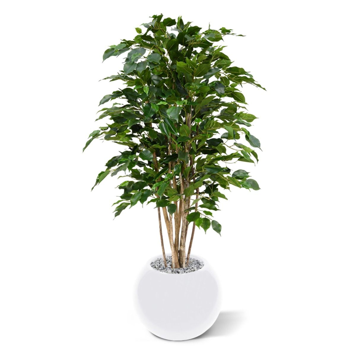 Ficus Exotica deluxe kunstplant 125cm - groen