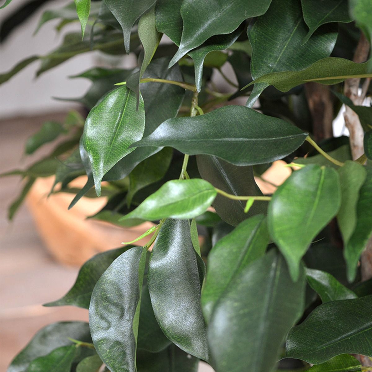 Ficus Exotica XL kunstplant 110cm