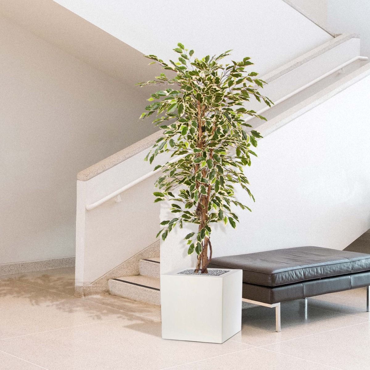 Ficus Hawai kunstboom 150cm