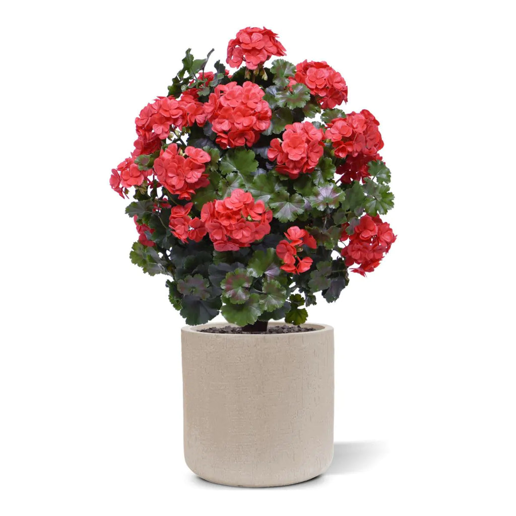 Geraniumbol kunstplant 70cm UV rood