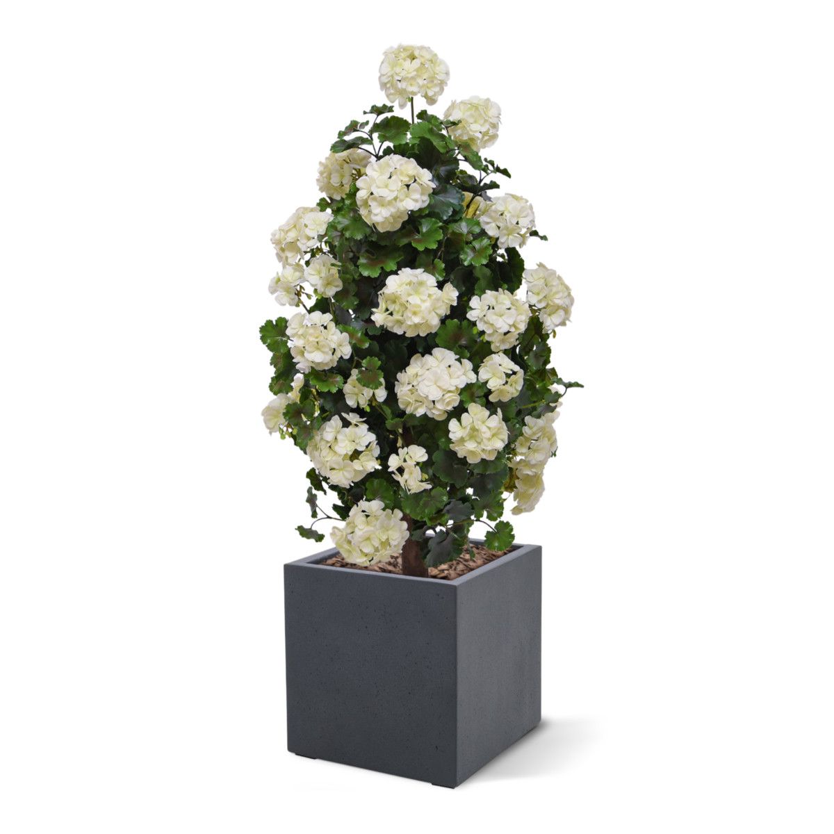 Geraniumkunst 110 cm piramideplant UV crèmewit