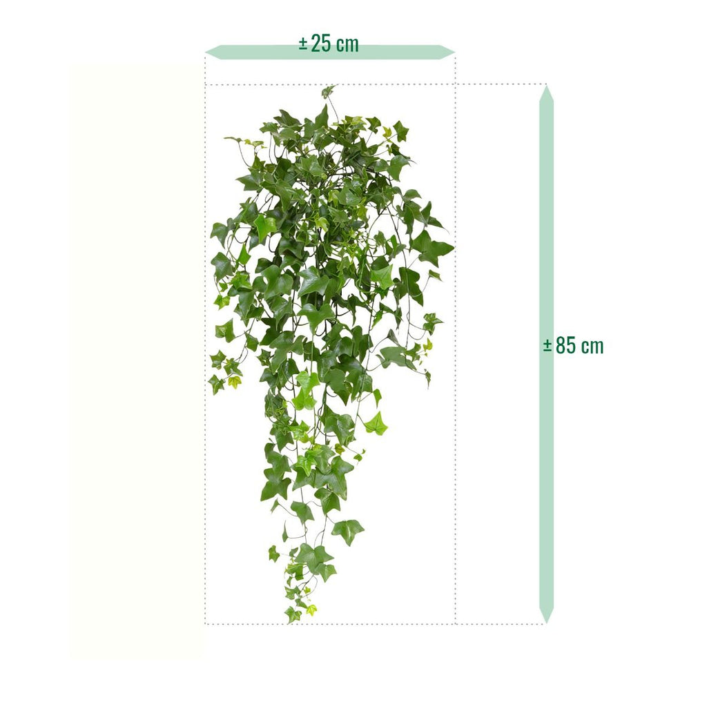 Hedera kunst hangplant 65cm - UV bestendig