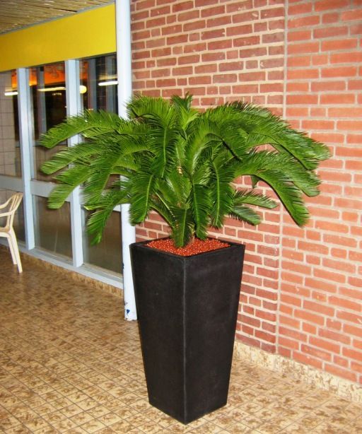 Cycas deluxe kunstpalm 125cm