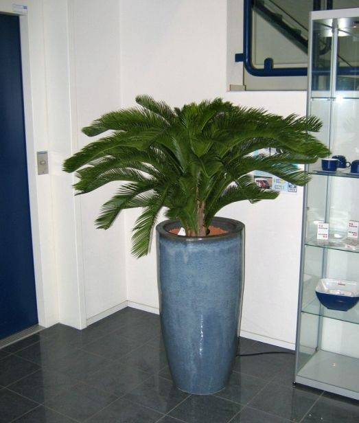 Cycas deluxe kunstpalm 125cm