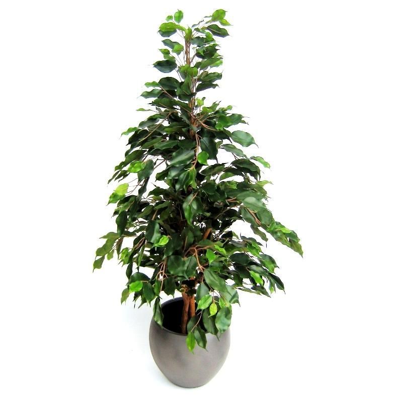 Ficus Exotica kunstplant 120cm - groen