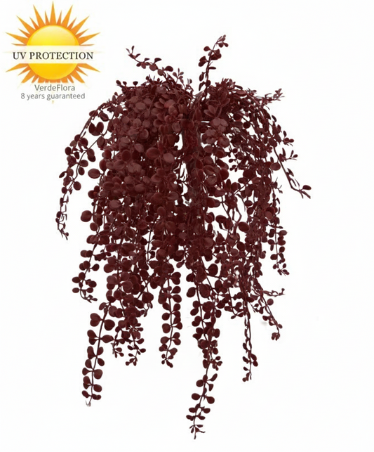 Outdoor hanging plant Dischidia burgundy UV-resistant