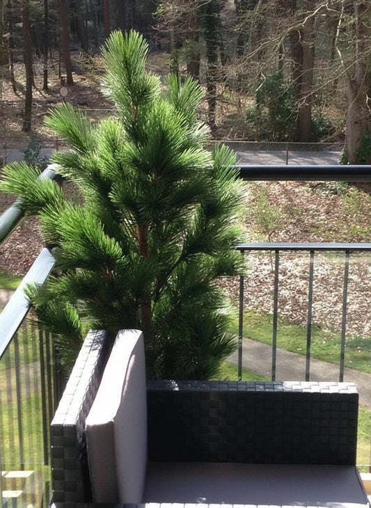 Plastic Tree Pinus 125 UV