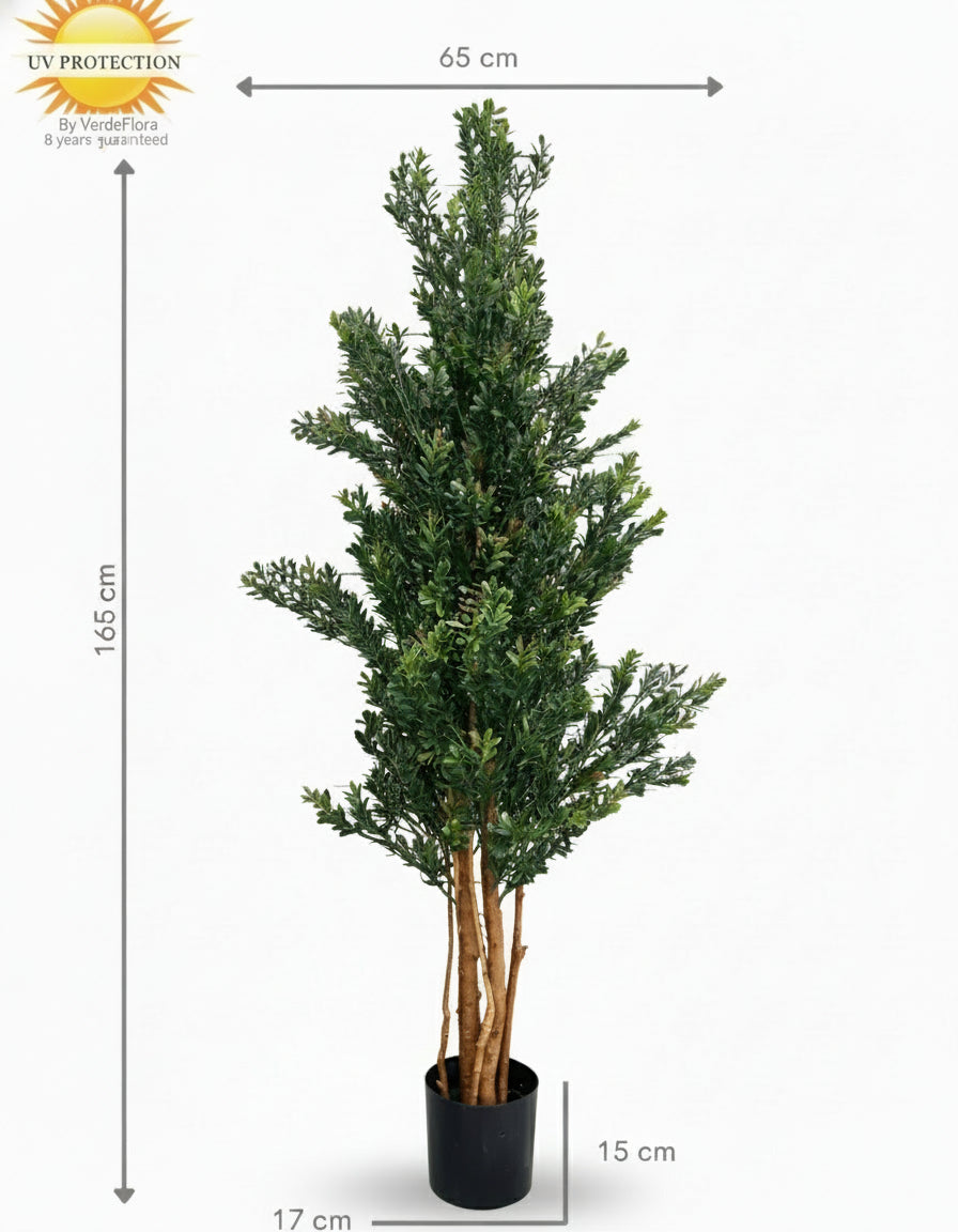 Hoge buxus van 165 cm, UV-groen/rood