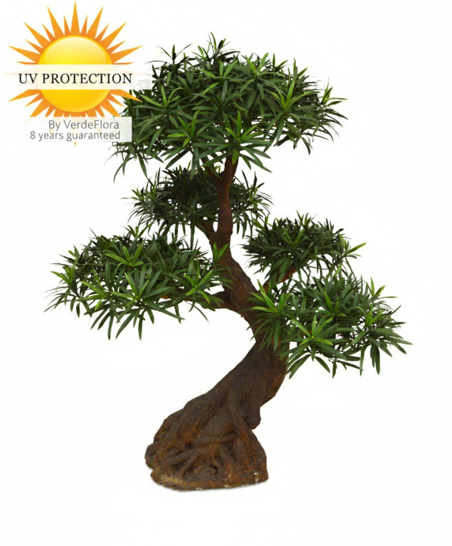 Luxe buitenkunst Podocarpus Bonsai x5 90 cm met UV-bescherming