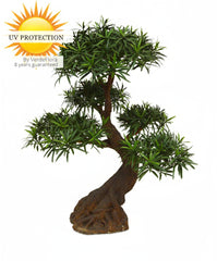 Deluxe Outdoor Art Podocarpus Bonsai x5 90 cm with UV protection