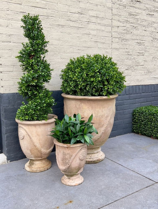 Outdoor Art Buxus Spiral tree 100 cm UV protected
