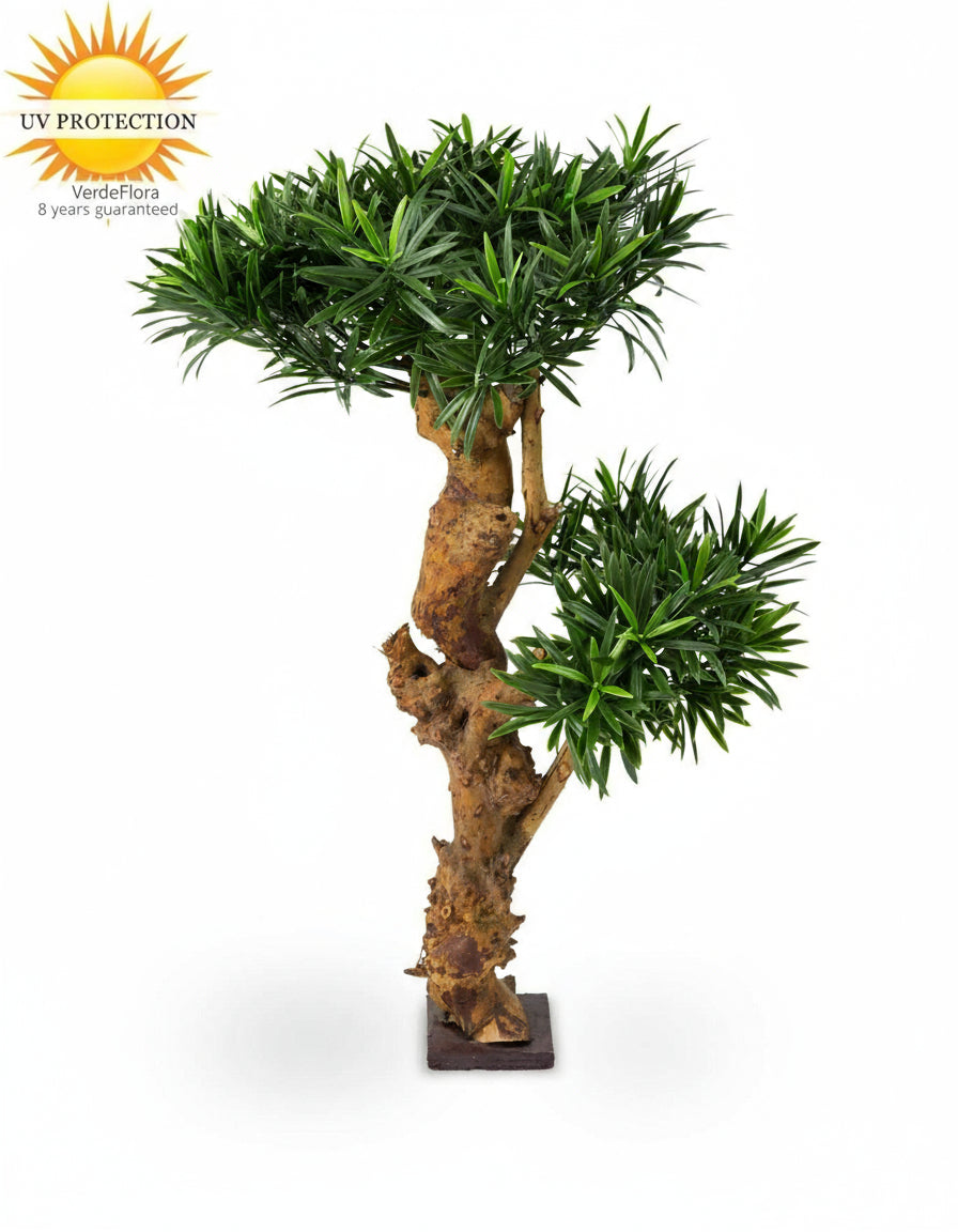 Kunstmatige Podocarpus-plant voor buiten op een echte houten stam van 70 cm met UV-bescherming.