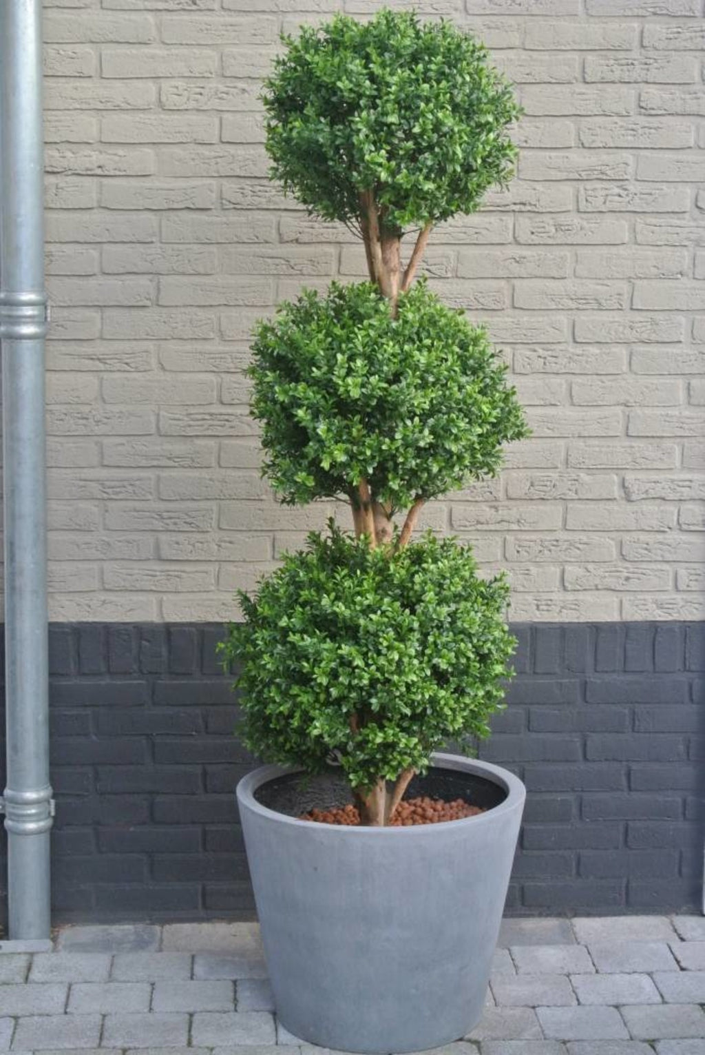 Kunstbuxus Triobol 175 cm voor buiten UV-bescherming