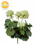 Geranium kunstboeket 38 cm wit UV