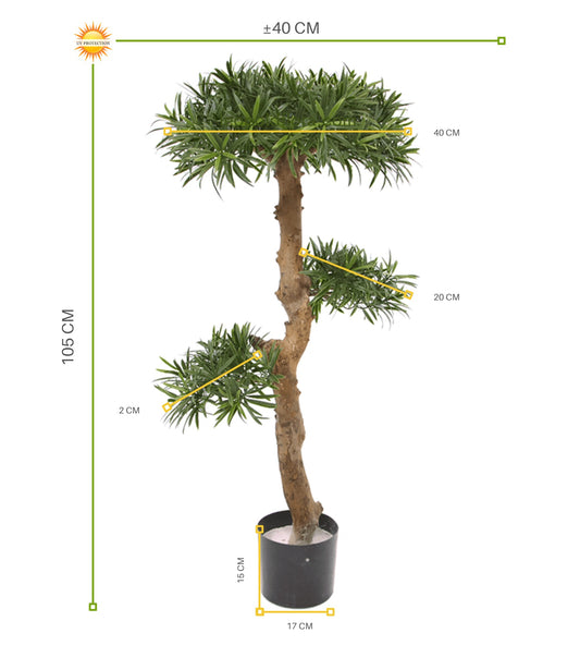 Art Podocarpus Bonsai tree 105 cm UV for outdoors
