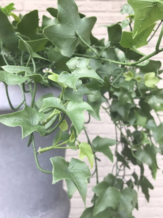Artificial outdoor Ivy hanging plant 100 cm UV protected
