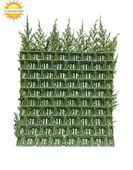 Luxury outdoor art Conifer mat x77 tips for wall covering UV protected