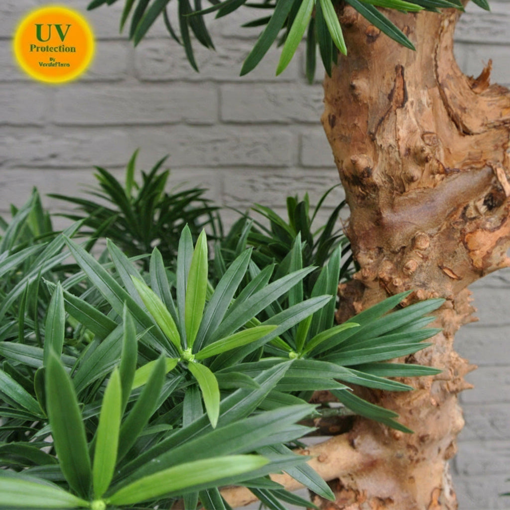 Kunstmatige Podocarpus bonsai voor buiten, 160 cm hoog, UV-beschermd.
