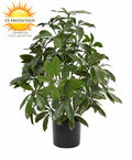 Kunstmatige Schefflera-plant voor buiten, 50 cm hoog, met UV-bescherming.