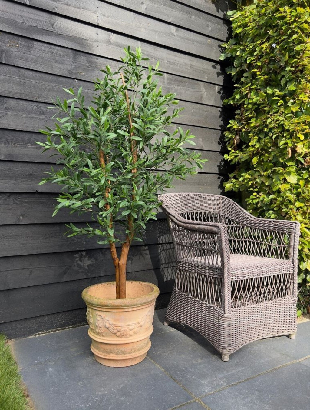 Imitatie olijfboom van 150 cm met hardhouten stam