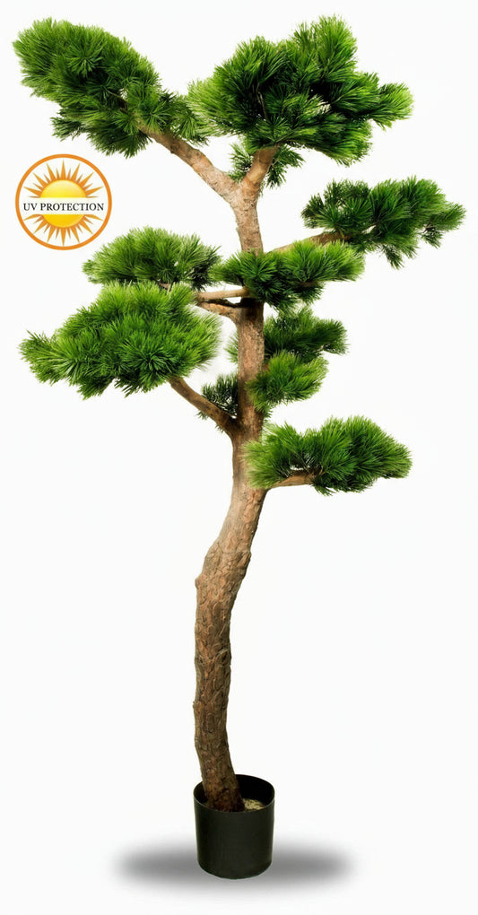 Luxury outdoor art Pinus Bonsai tree XL with UV protection