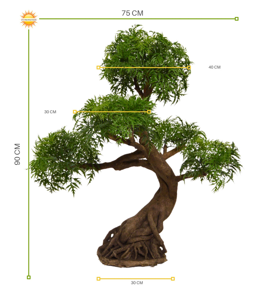 Buitenbonsai Ming Aralia 90 cm met UV-bescherming