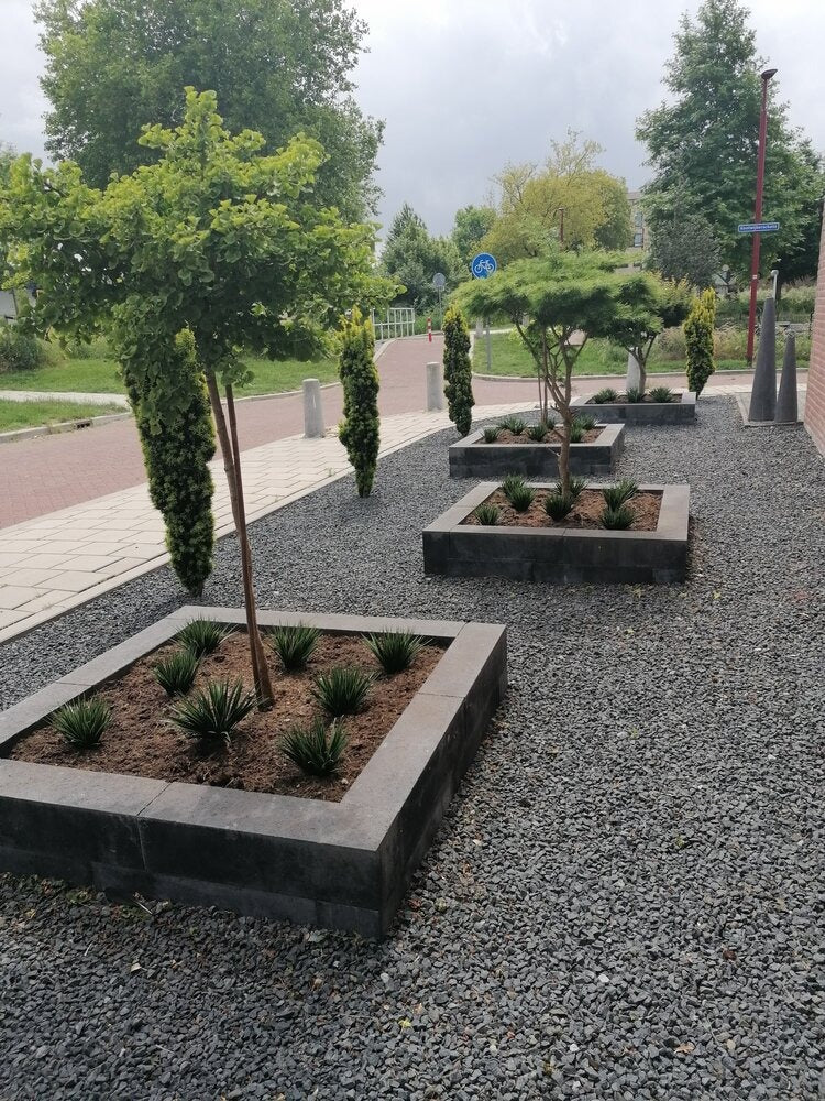 Low Art grass bouquet 30 cm UV