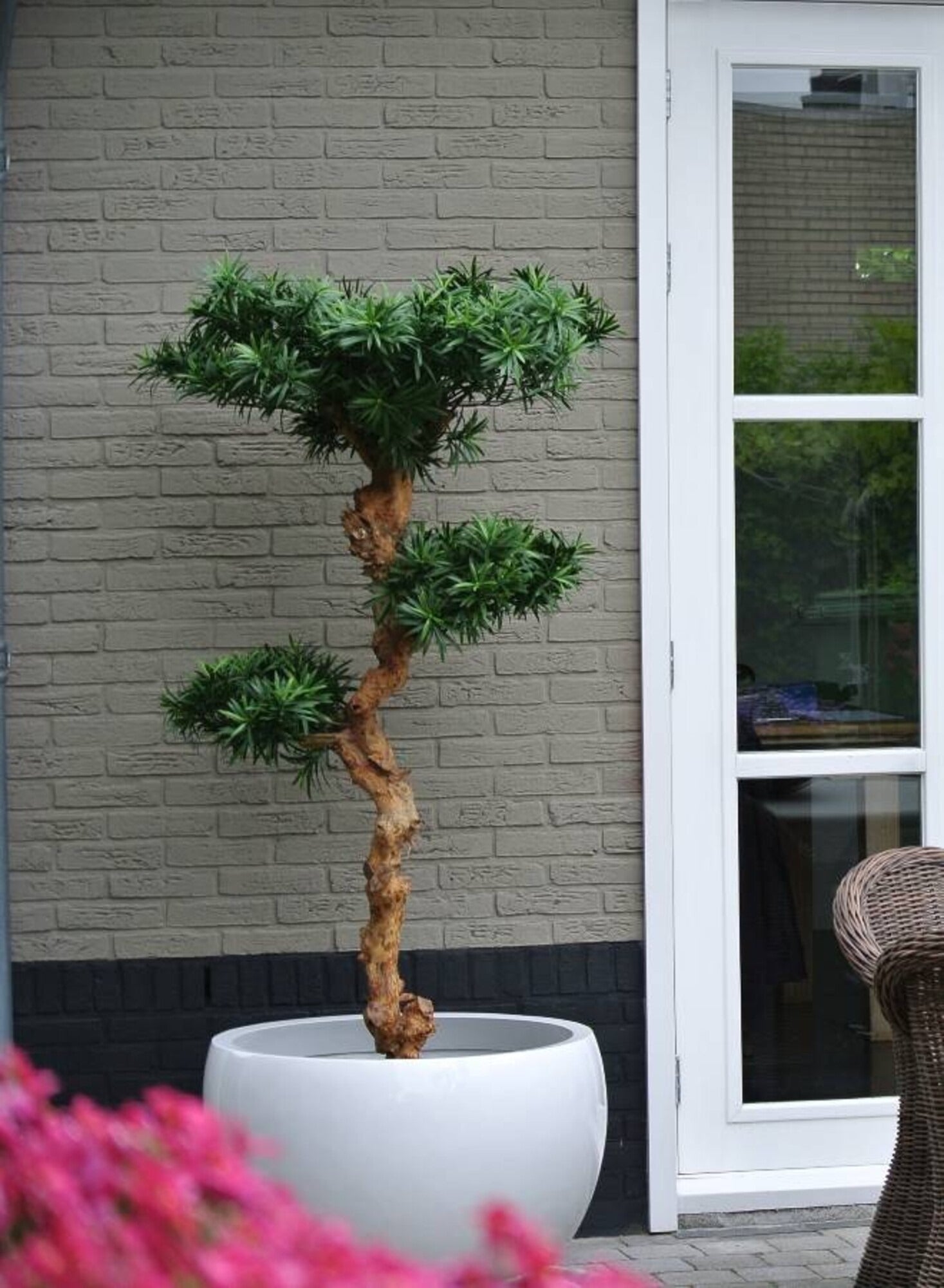 Kunstmatige Podocarpus bonsai voor buiten, 160 cm hoog, UV-beschermd.