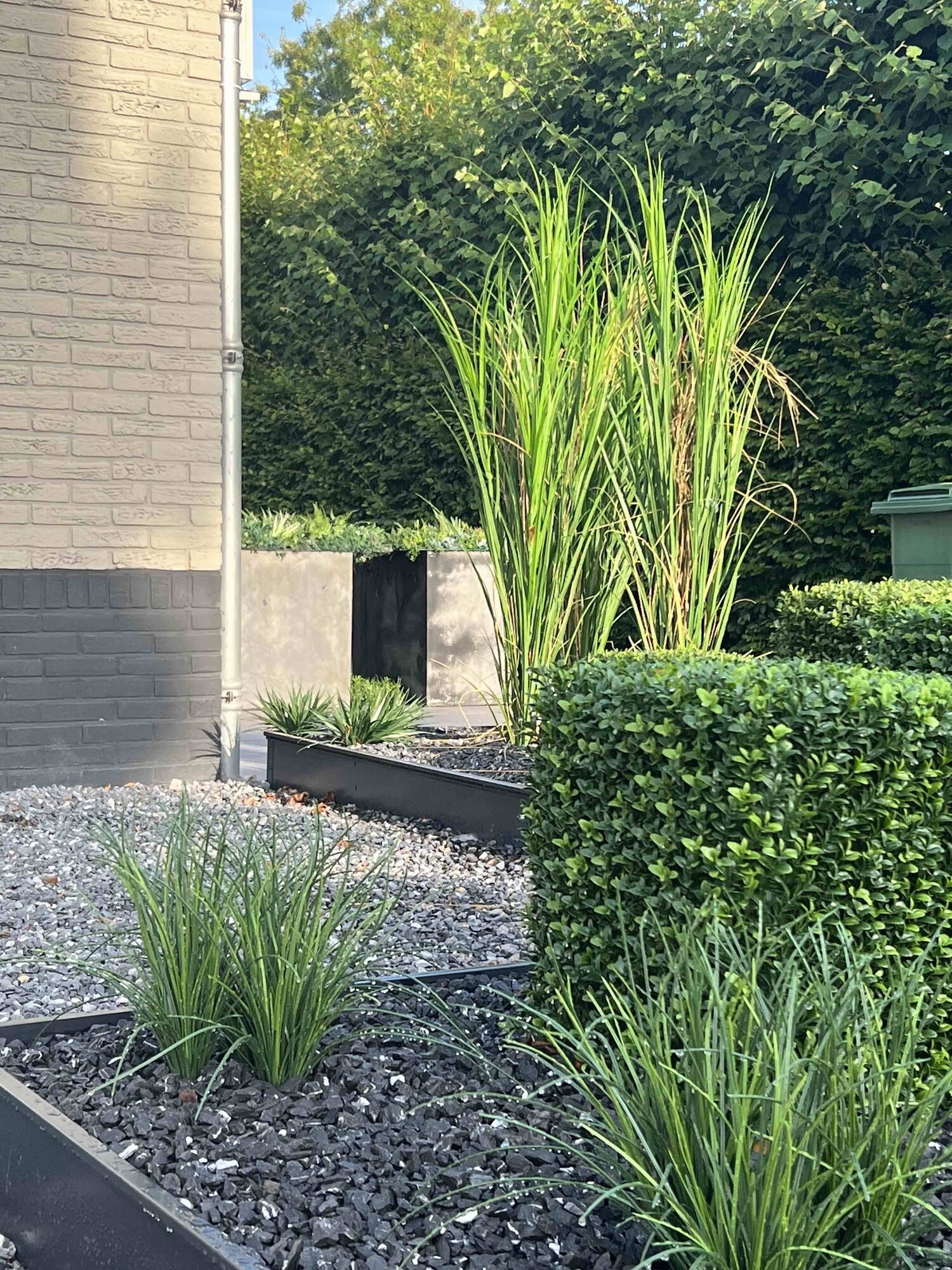Kunstmatige rietplant voor buiten, 165 cm hoog, UV-beschermd.