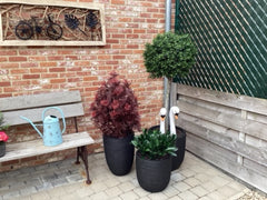 Outdoor Artificial Ilex ball on trunk 135 cm UV protected