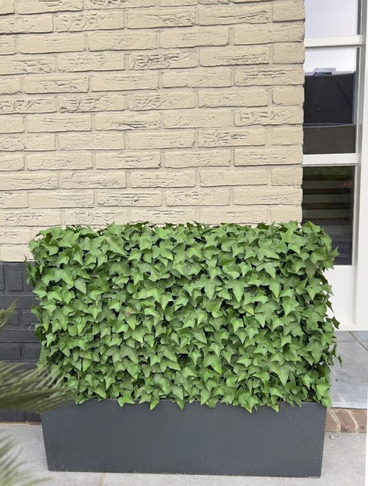 Art outdoor Ivy hedge on frame UV protected 56cm