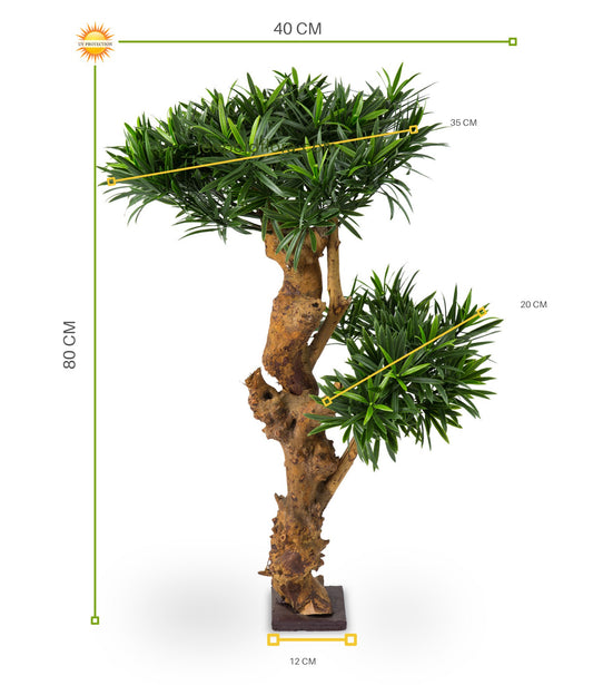 Outdoor Artificial Podocarpus plant on real wood trunk 70 cm with UV