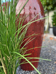 Artificial Ornamental Grass Plant 80cm UV in Pot