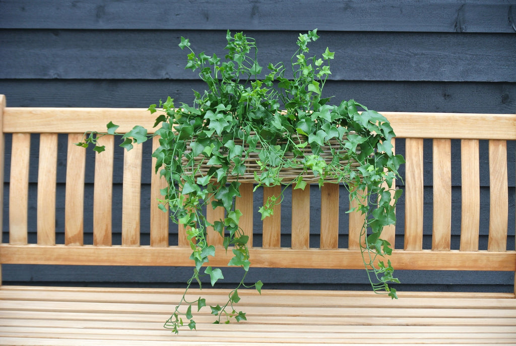 Kunstmatige hangplant met klimop, 65 cm hoog, UV-beschermd, geschikt voor buiten.