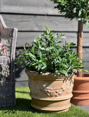 Outdoor Artificial Olive tree 60cm UV