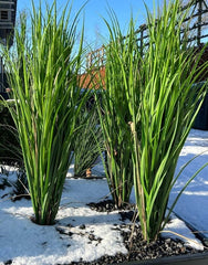 Outdoor artificial Reed Grass plant 100 cm UV