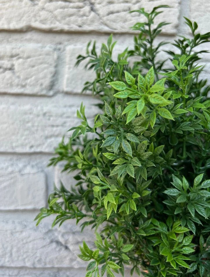 Artshrub Eucalyptus 30 UV