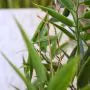Artificial outdoor Bamboo plant 90 cm UV-protected