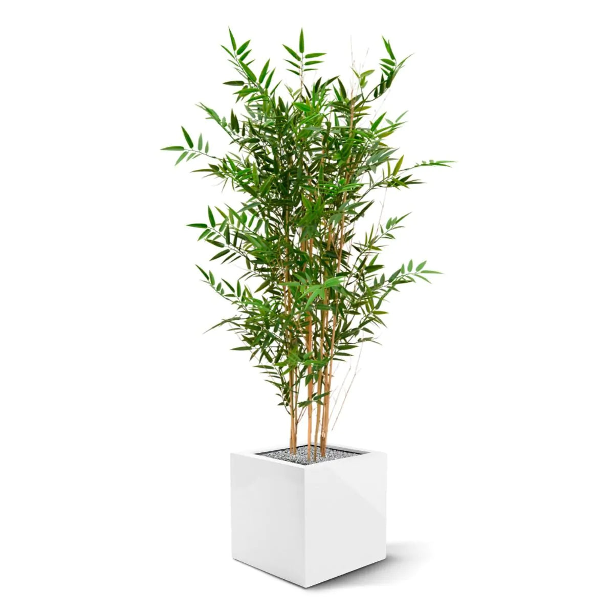 High Art outdoor Bamboo plant 120 cm UV-protected