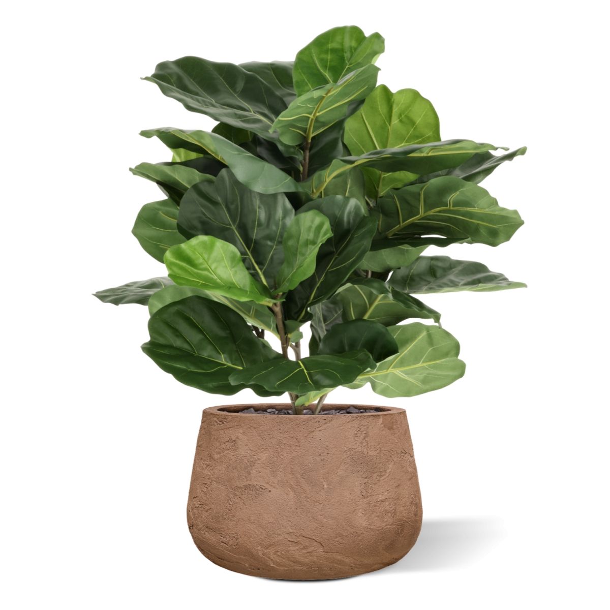 Lyrata Kunstplant N 90cm in pot