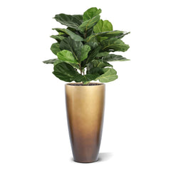 Lyrata Kunstplant N 90cm in pot