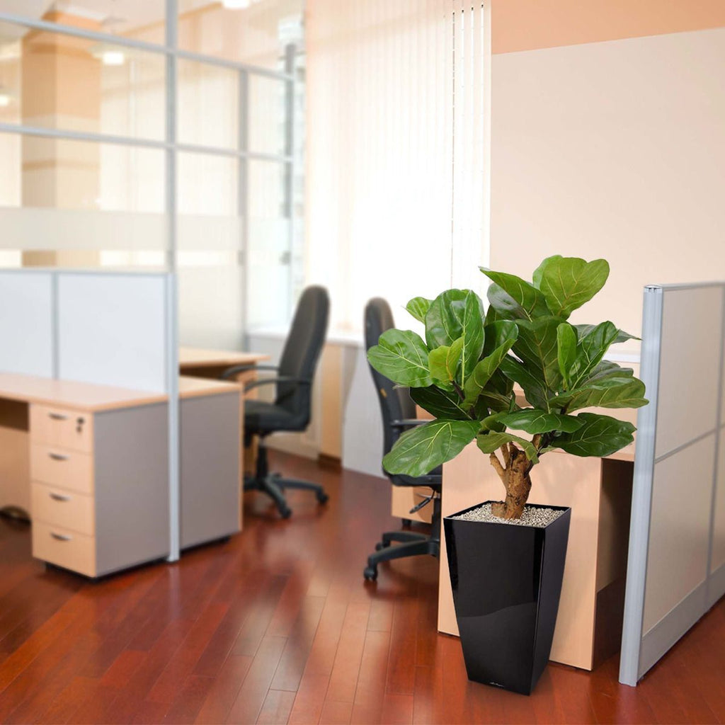 Lyrata deluxe kunstplant op stam 80cm