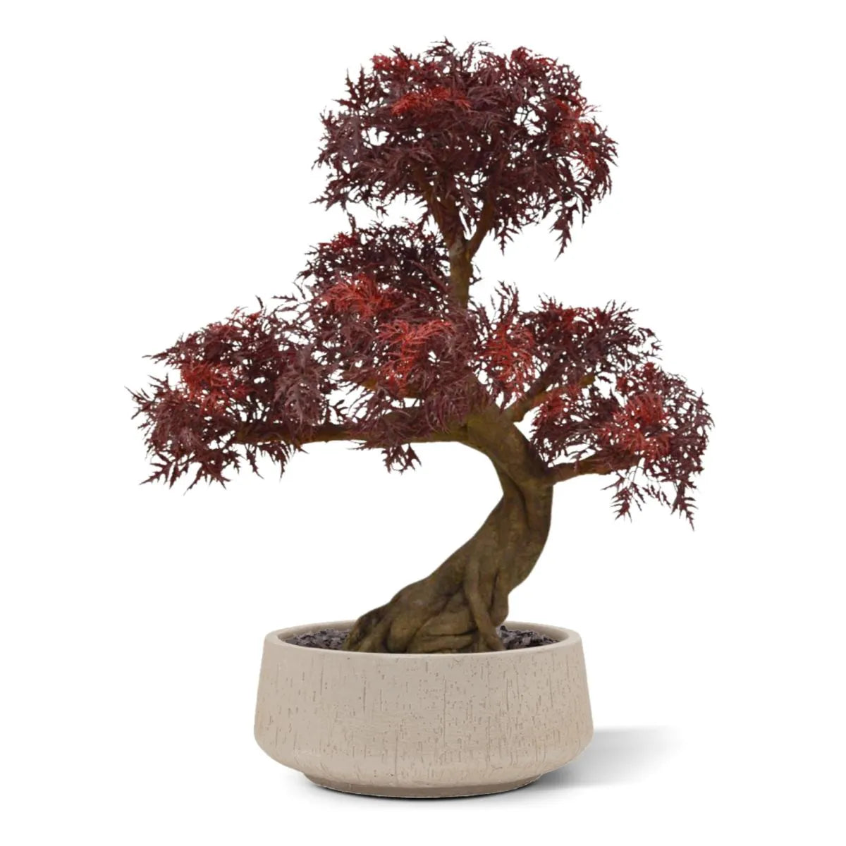 Kunstmatige Ming Aralia bonsai voor buiten in bordeauxrood met geteste UV-garantie.