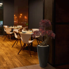 Outdoor artificial Ming Aralia bonsai in burgundy with tested UV guarantee