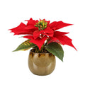 Mini kerstster Poinsettia kunstplant 10cm