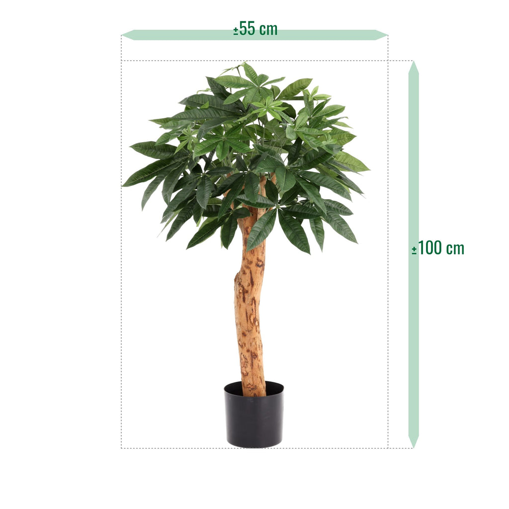 Pachira Kunstplant Deluxe 100cm