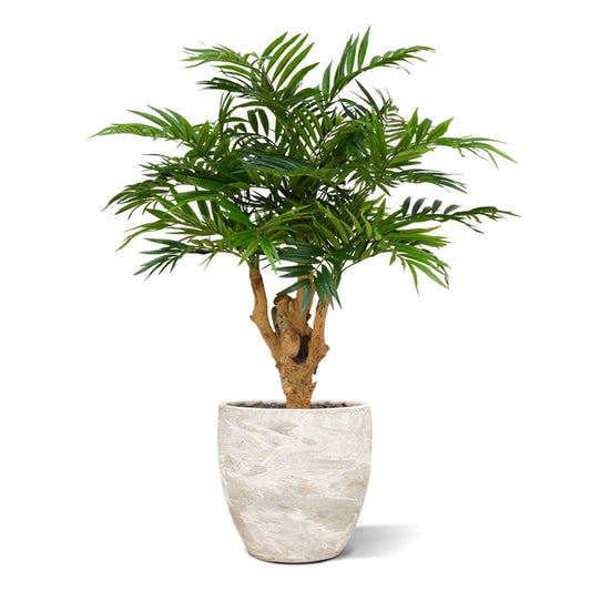 Parlour kunstpalm op voet 95cm