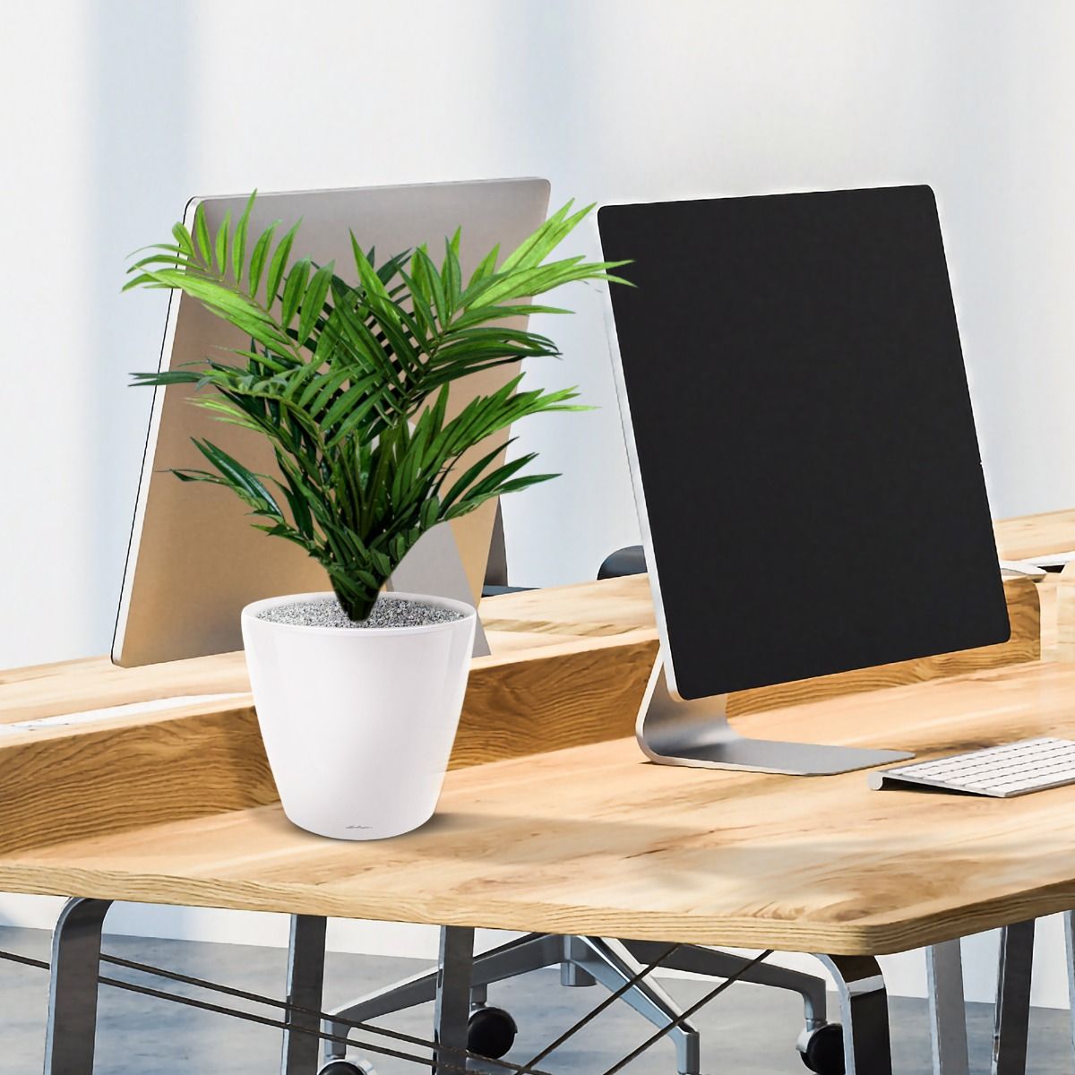 Parlour kunstpalm 50cm in 12cm potje
